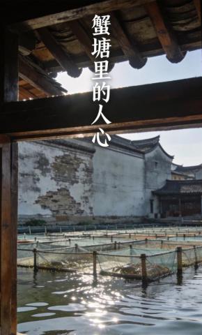 短剧《蟹塘里的人心》海报