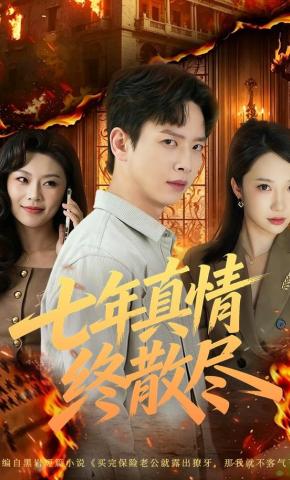 短剧《七年真情终散尽》海报