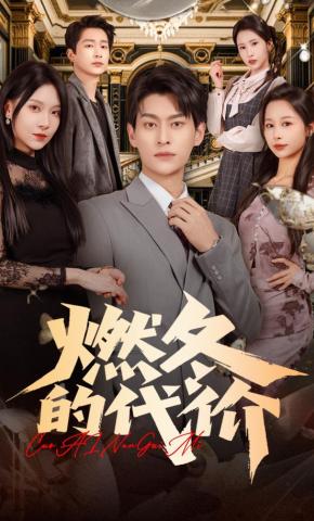 短剧《燃冬的代价》海报