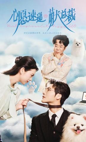 短剧《心愿速递之萌犬总裁》海报