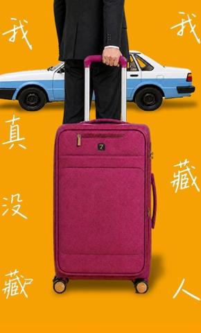 短剧《我真没藏尸我藏人》海报