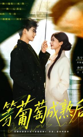 短剧《等葡萄成熟后》海报