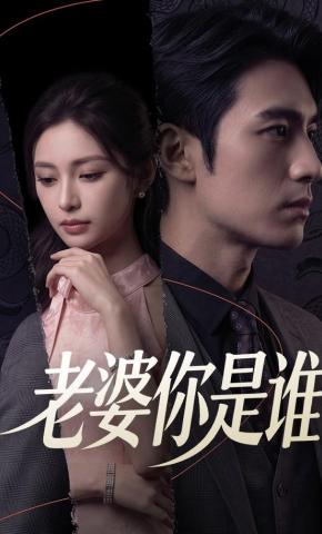 短剧《老婆你是谁》海报