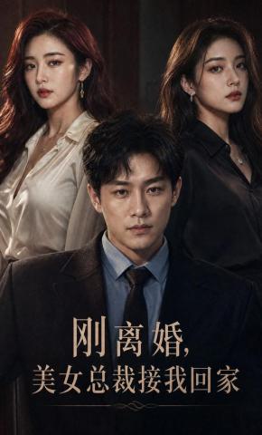 短剧《刚离婚，美女总裁接我回家》海报