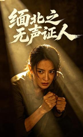 短剧《缅北之无声证人》海报