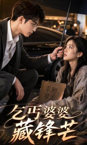 短剧乞丐婆婆藏锋芒海报