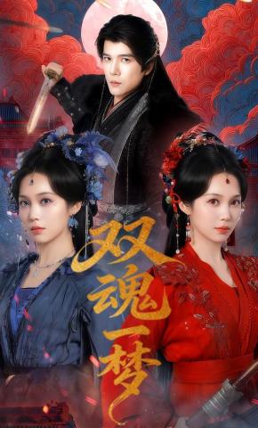短剧《双魂一梦》海报