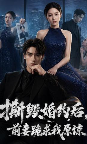 短剧《撕毁婚约后，前妻跪求我原谅》海报