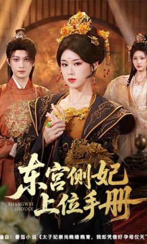 短剧《东宫侧妃上位手册》海报
