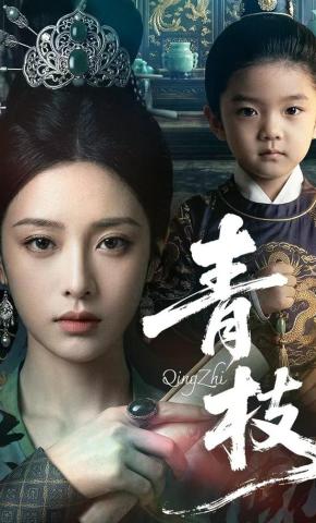 短剧《青枝》海报