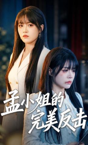 短剧《孟小姐的完美反击》海报