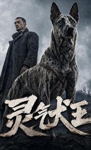 短剧《灵气犬王》海报