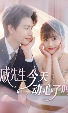 短剧《戚先生今天动心了吗》海报