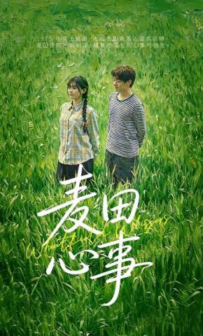短剧《麦田心事》海报