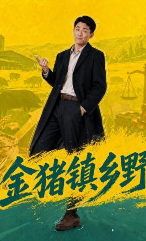 短剧《金猪镇乡野》海报