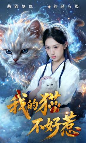 短剧《我的猫不好惹》海报
