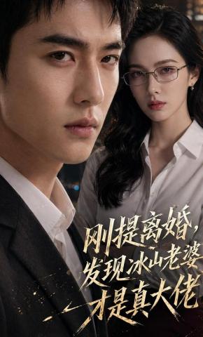 短剧《刚提离婚，发现冰山老婆才是真大佬》海报