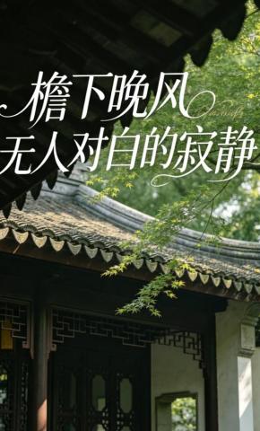 短剧《檐下晚风无人对白的寂静》海报