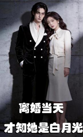 短剧《离婚当天，才知她是白月光》海报