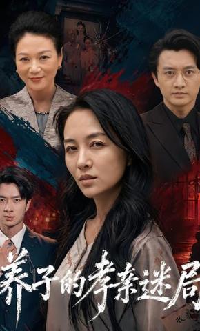 短剧《养子的孝亲迷局》海报