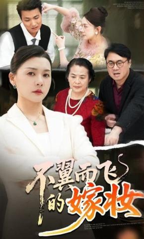 短剧《不翼而飞的嫁妆》海报