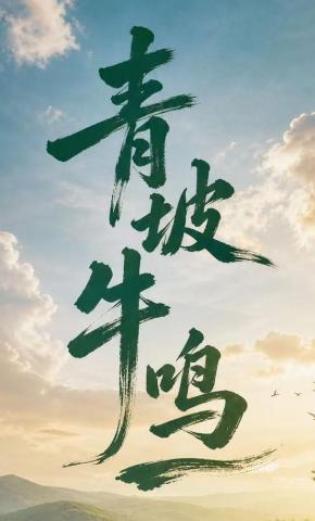 短剧《青坡牛鸣》海报