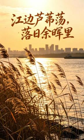 短剧《江边芦苇荡，落日余晖里》海报