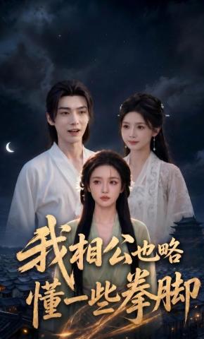 短剧《我相公也略懂一些拳脚》海报