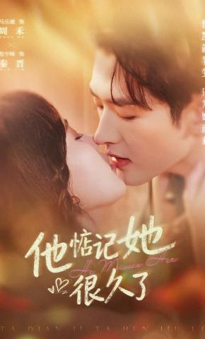 短剧他惦记她很久了海报