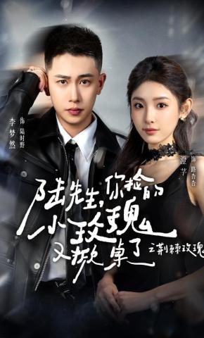 短剧《陆先生，你捡的小玫瑰又掀桌了之荆棘玫瑰》海报