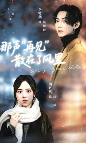 短剧《那声“再见”散在了风里》海报