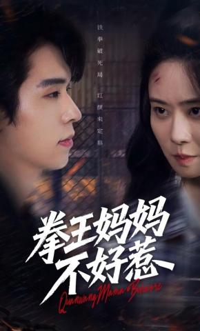 短剧《拳王妈妈不好惹》海报