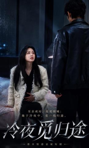 短剧《冷夜觅归途》海报