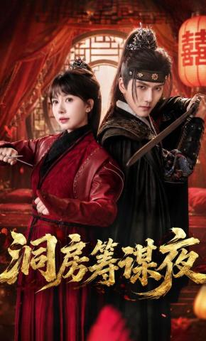 短剧《洞房筹谋夜》海报