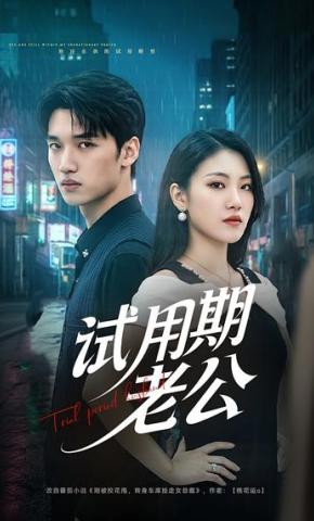 短剧《试用期老公》海报