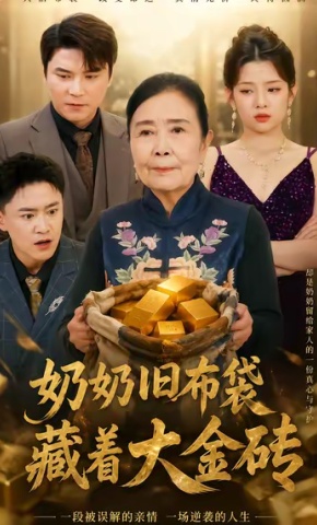 短剧奶奶旧布袋藏着大金砖海报