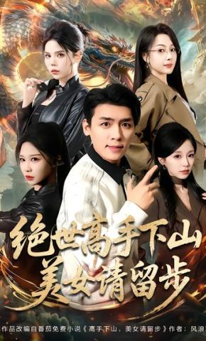 短剧《绝世高手下山，美女请留步》海报