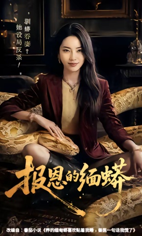 短剧《报恩的缅蟒》海报