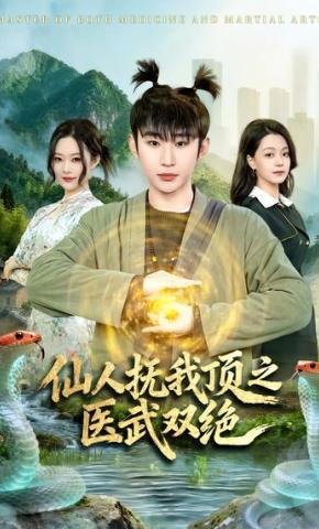 短剧《仙人抚我顶之医武双绝》海报