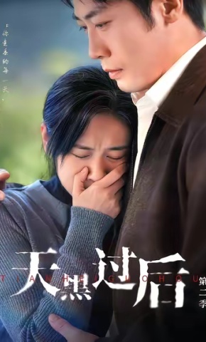 短剧天黑过后第二季海报