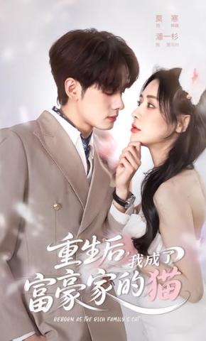 短剧《重生后，我成了富豪家的猫》海报