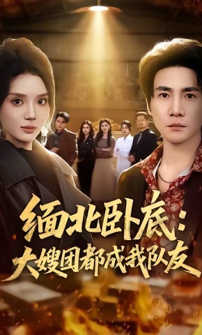 短剧《缅北卧底：大嫂团都成我队友》海报