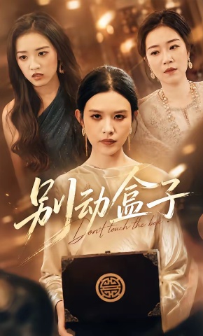 短剧《别动盒子》海报