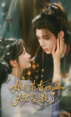 短剧《娘子茶香四溢夫君受教了》海报
