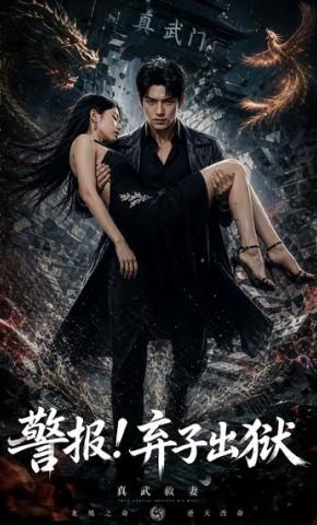 短剧《警报！弃子出狱》海报