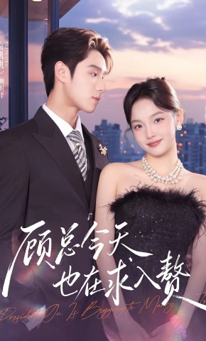 短剧《顾总今天也在求入赘》海报
