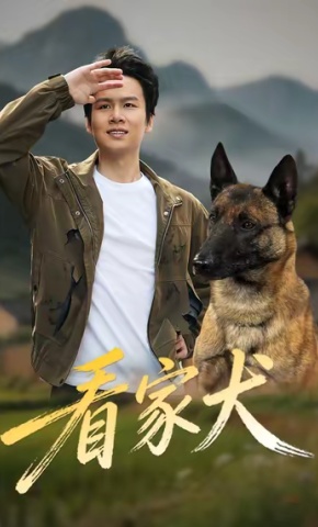 短剧《看家犬》海报