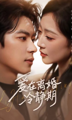 短剧《爱在离婚冷静期》海报