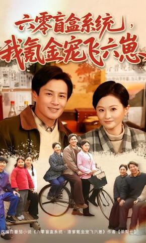 短剧《六零盲盒系统，我氪金宠飞六崽》海报