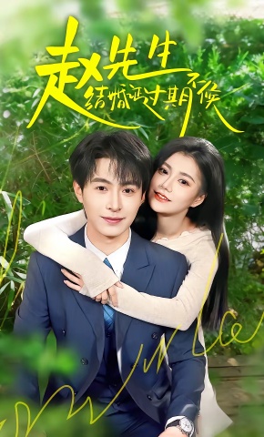 短剧《赵先生结婚证过期不候》海报